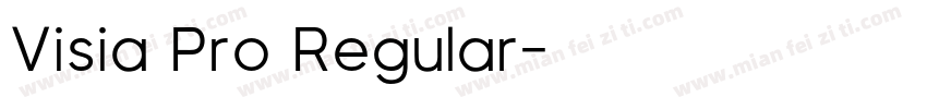 Visia Pro Regular字体转换